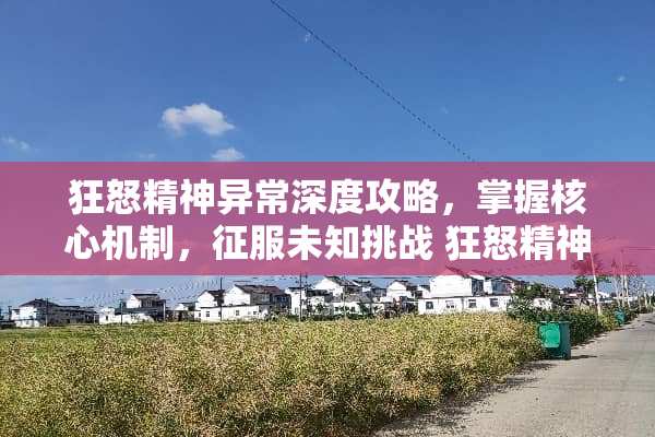 狂怒精神异常深度攻略，掌握核心机制，征服未知挑战 狂怒精神异常游戏攻略