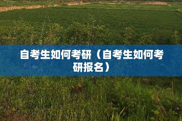 自考生如何考研（自考生如何考研报名）