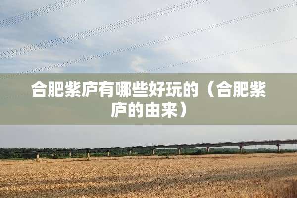 合肥紫庐有哪些好玩的（合肥紫庐的由来）