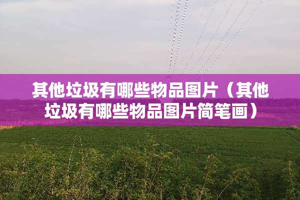 其他垃圾有哪些物品图片（其他垃圾有哪些物品图片简笔画）