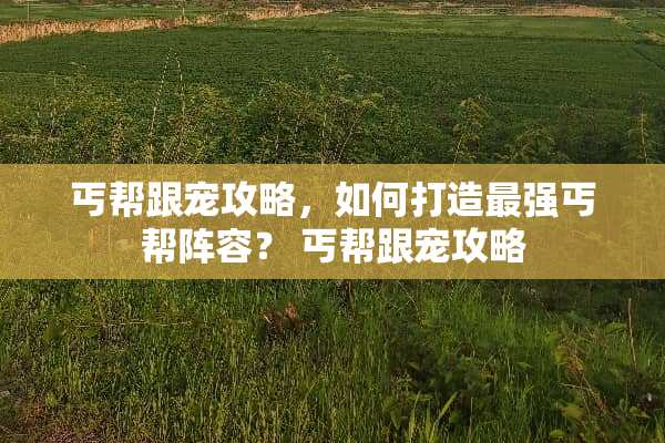 丐帮跟宠攻略，如何打造最强丐帮阵容？ 丐帮跟宠攻略