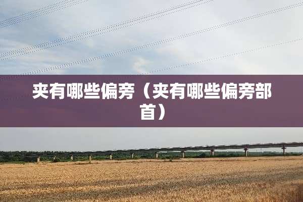 夹有哪些偏旁（夹有哪些偏旁部首）