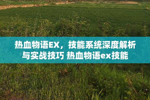 热血物语EX，技能系统深度解析与实战技巧 热血物语ex技能
