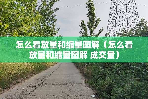 怎么看放量和缩量图解（怎么看放量和缩量图解 成交量）