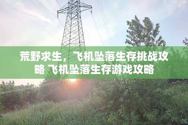 荒野求生，飞机**生存挑战攻略 飞机**生存游戏攻略