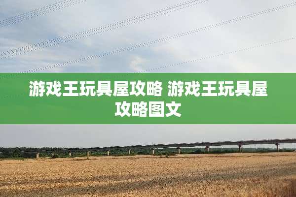 游戏王玩具屋攻略 游戏王玩具屋攻略图文