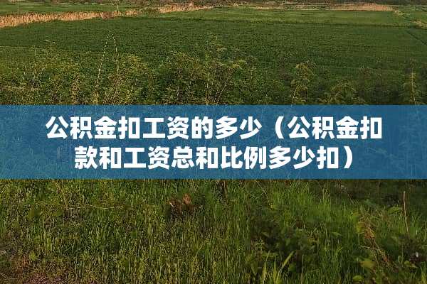 公积金扣工资的多少（公积金扣款和工资总和比例多少扣）
