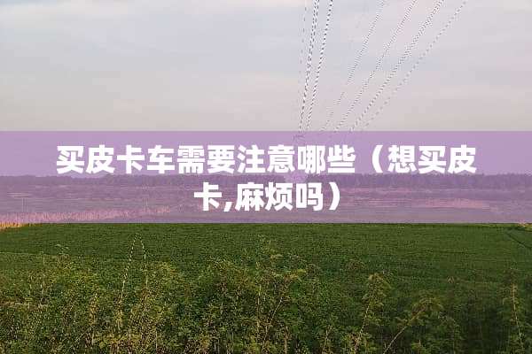 买皮卡车需要注意哪些（想买皮卡,麻烦吗）