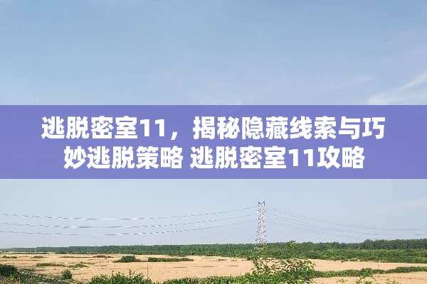 逃脱密室11，揭秘隐藏线索与巧妙逃脱策略 逃脱密室11攻略