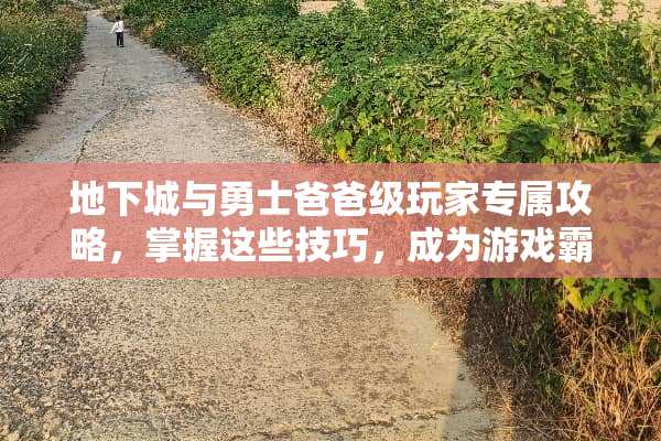 **城与勇士爸爸级玩家专属攻略，掌握这些技巧，成为游戏霸主 dnf爸爸打游戏攻略