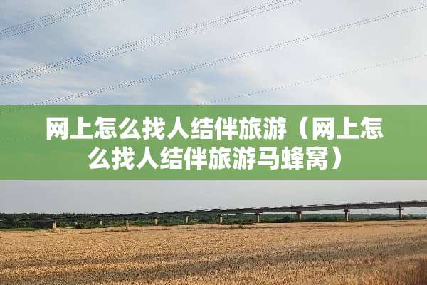 网上怎么找人结伴旅游（网上怎么找人结伴旅游马蜂窝）