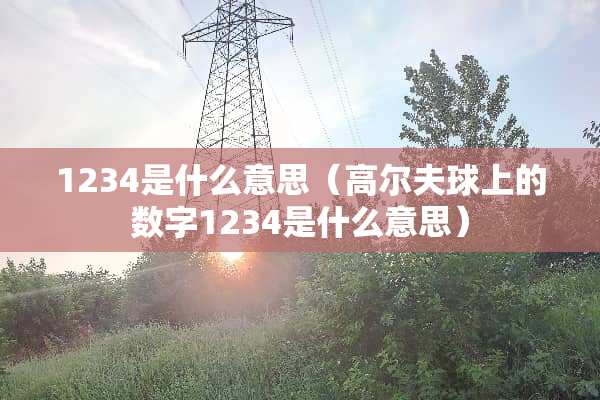 1234是什么意思（高尔夫球上的数字1234是什么意思）