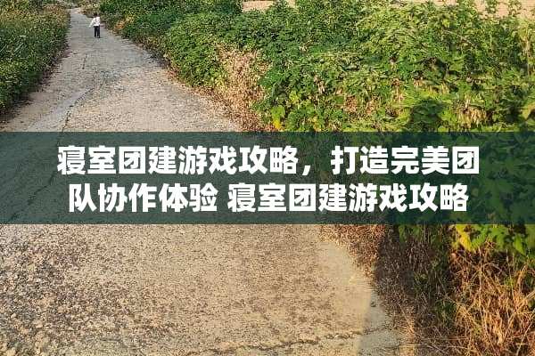 寝室团建游戏攻略，打造完美团队协作体验 寝室团建游戏攻略