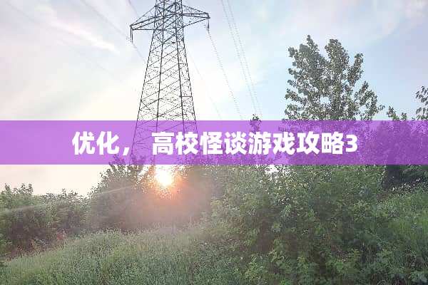 优化， 高校怪谈游戏攻略3