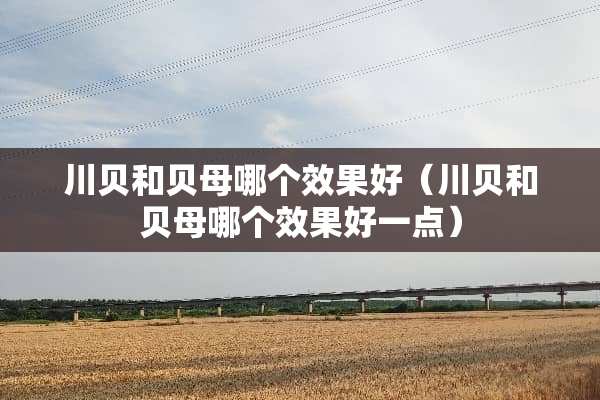 川贝和贝母哪个效果好（川贝和贝母哪个效果好一点）