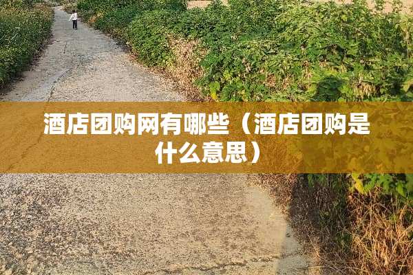 酒店团购网有哪些(酒店团购是什么意思)