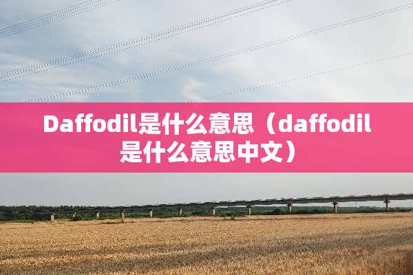 Daffodil是什么意思（daffodil是什么意思中文）