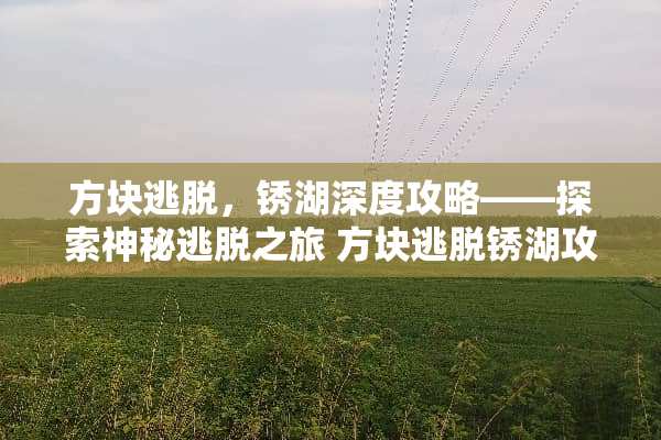 方块逃脱，锈湖深度攻略——探索神秘逃脱之旅 方块逃脱锈湖攻略