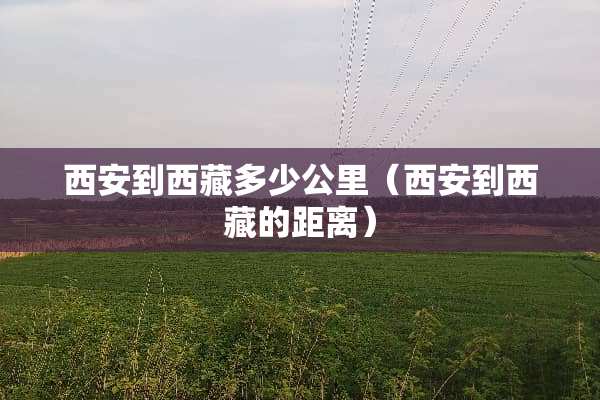 西安到西藏多少公里（西安到西藏的距离）