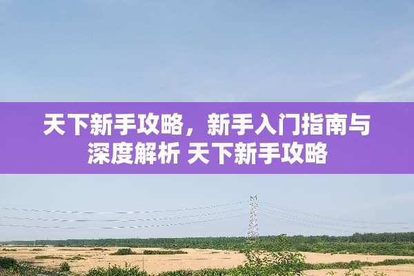 天下新手攻略，新手入门指南与深度解析 天下新手攻略