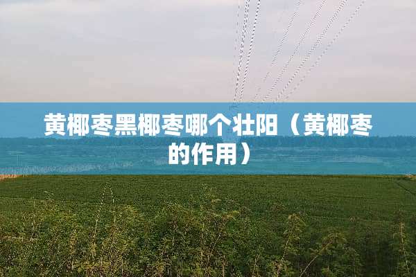 黄椰枣黑椰枣哪个壮阳（黄椰枣的作用）
