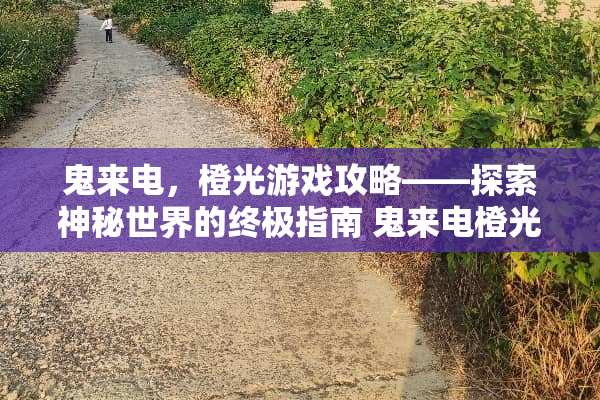 鬼来电，橙光游戏攻略——探索神秘世界的终极指南 鬼来电橙光游戏攻略