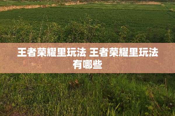王者荣耀里玩法 王者荣耀里玩法有哪些