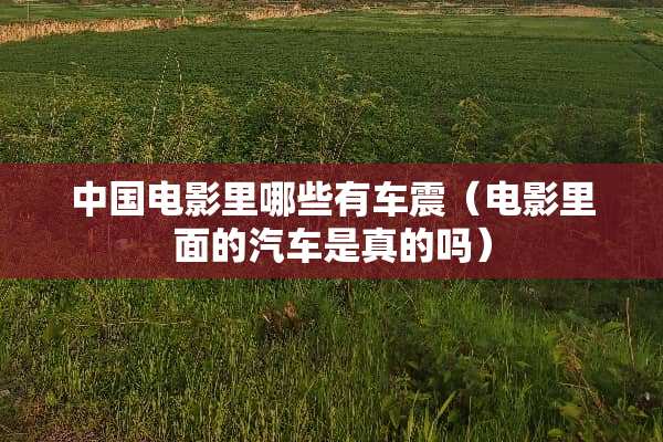 中国电影里哪些有车震（电影里面的汽车是真的吗）