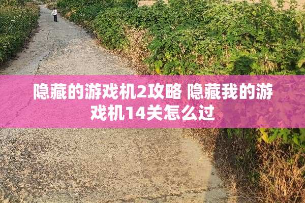 隐藏的游戏机2攻略 隐藏我的游戏机14关怎么过