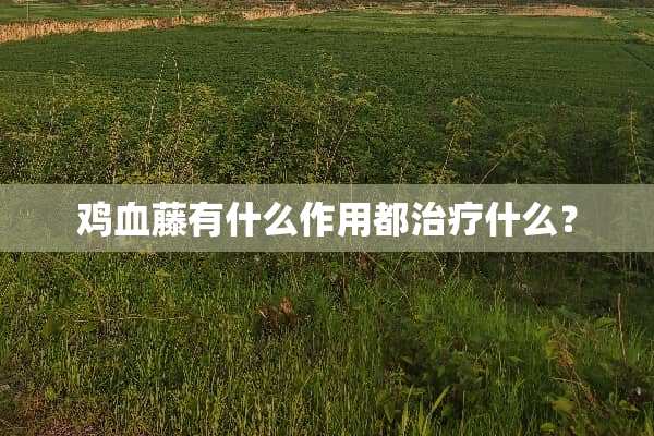 鸡血藤有什么作用都治疗什么？