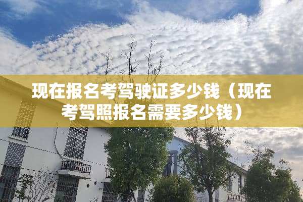 现在报名考***多少钱（现在考驾照报名需要多少钱）