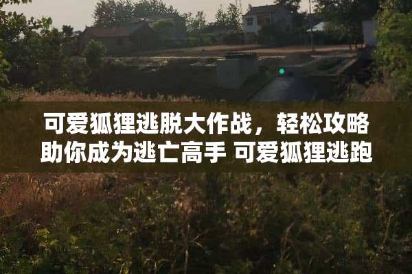 可爱狐狸逃脱大作战，轻松攻略助你成为逃亡高手 可爱狐狸逃跑攻略游戏