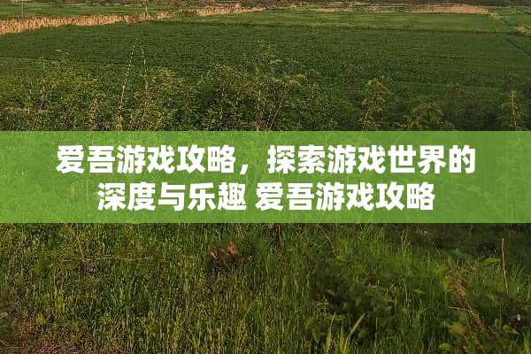 爱吾游戏攻略，探索游戏世界的深度与乐趣 爱吾游戏攻略