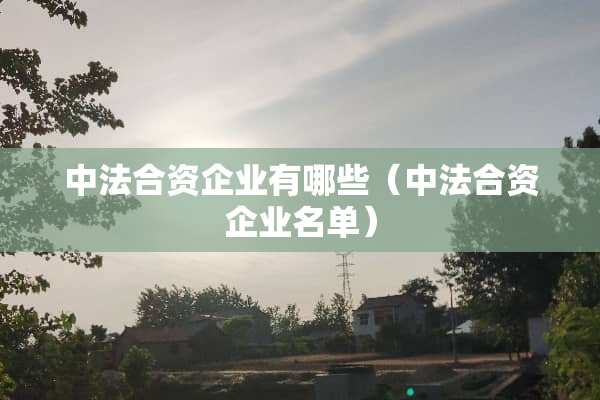 中法合资企业有哪些（中法合资企业名单）