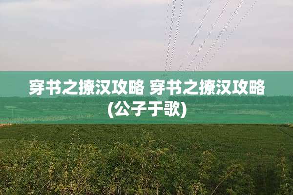 穿书之撩汉攻略 穿书之撩汉攻略(公子于歌)