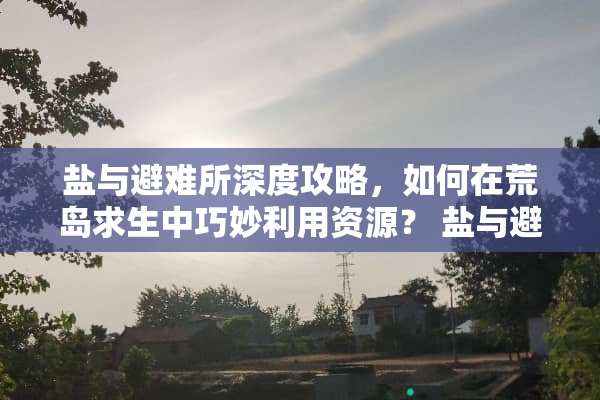 盐与避难所深度攻略，如何在荒岛求生中巧妙利用资源？ 盐与避难所攻略