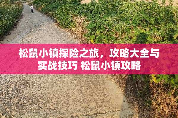 松鼠小镇探险之旅，攻略大全与实战技巧 松鼠小镇攻略