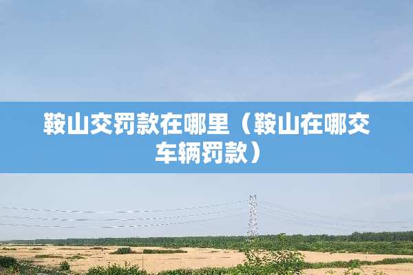 鞍山交罚款在哪里（鞍山在哪交车辆罚款）