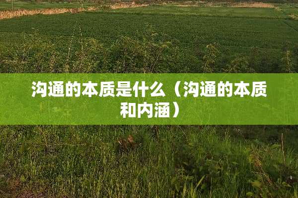 沟通的本质是什么（沟通的本质和内涵）