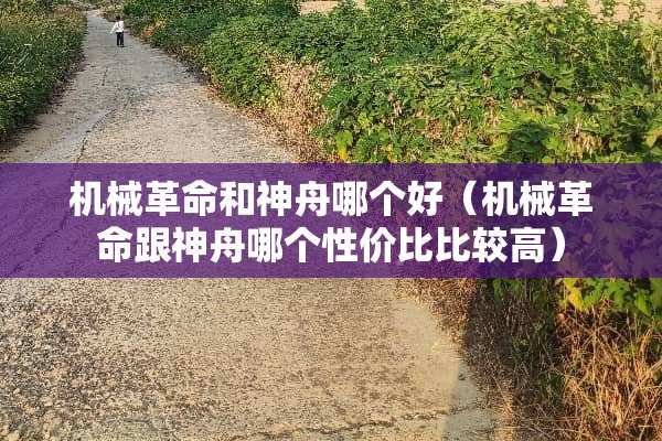 机械**和神舟哪个好（机械**跟神舟哪个性价比比较高）