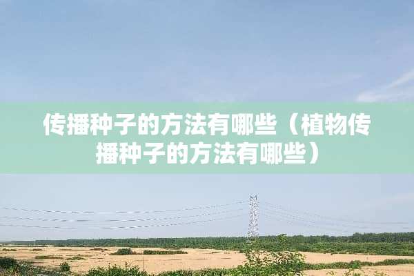 传播种子的方法有哪些（植物传播种子的方法有哪些）