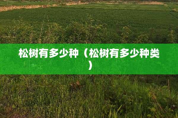松树有多少种（松树有多少种类）