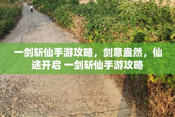 一剑斩仙手游攻略，剑意盎然，仙途开启 一剑斩仙手游攻略