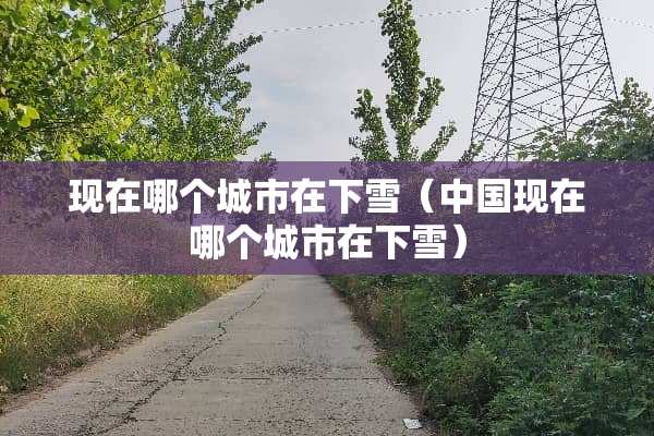 现在哪个城市在下雪（中国现在哪个城市在下雪）