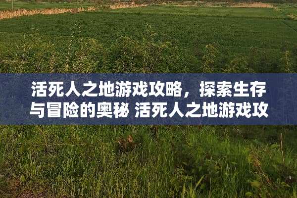 活死人之地游戏攻略，探索生存与冒险的奥秘 活死人之地游戏攻略