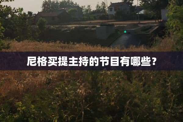尼格买提主持的节目有哪些？