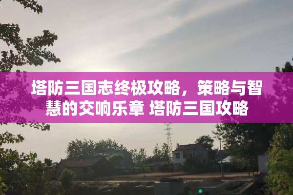 塔防三国志终极攻略，策略与智慧的交响乐章 塔防三国攻略