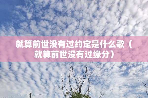 就算前世没有过约定是什么歌（就算前世没有过缘分）