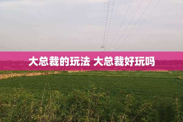 大总裁的玩法 大总裁好玩吗