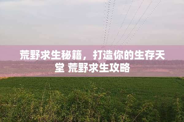 荒野求生秘籍，打造你的生存天堂 荒野求生攻略